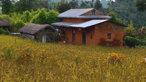 Aesthetic-Gliding-drone-shot-Nepal-Traditional-village-Housing-and-Millet-Farm-4K