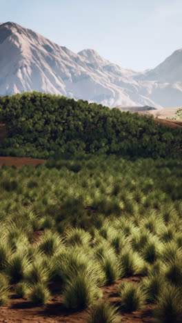 a scenic view of rolling hills and a grassy field with mountains in the background