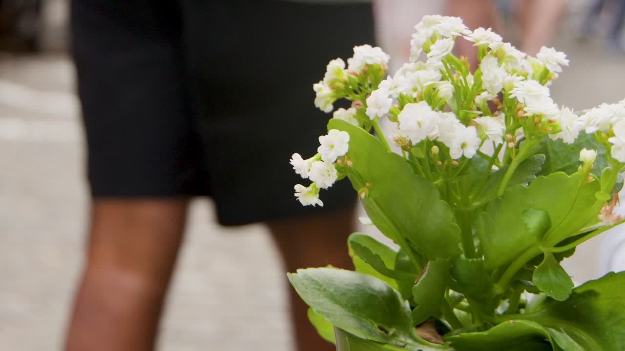 White blossoms in green pot foreground, pedestrians blurred in background, outdoor market, warm daylight