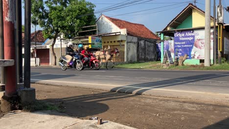 delman is a traditional horse-drawn carriage used as transportation in the city of yogyakarta