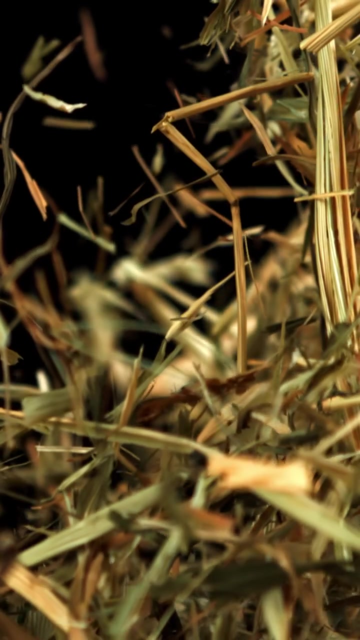 Dry Hay and Grass Falling and Floating Against a Black Background