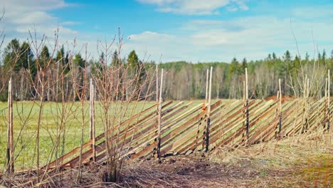 time-lapse of a man installing skigard, norwegian fence on a sunny day