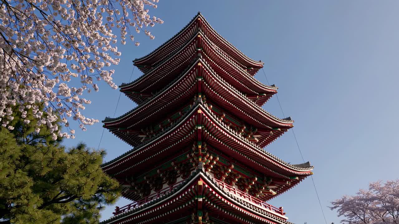 Lavvinkelskud af en traditionel japansk pagode med kirsebærblomster, der fremhæver arkitekturen.