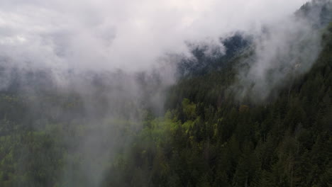 Drohne-Fliegt-Durch-Die-Wolken-Eines-üppigen-Waldes