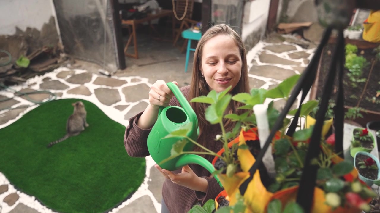 Joven disfrutando de la jardinería mientras cuida plantas de fresa maduras en una instalación vertical moderna. Estilo de vida ecológico, cultivo de frutas frescas y solución compacta de jardinería urbana