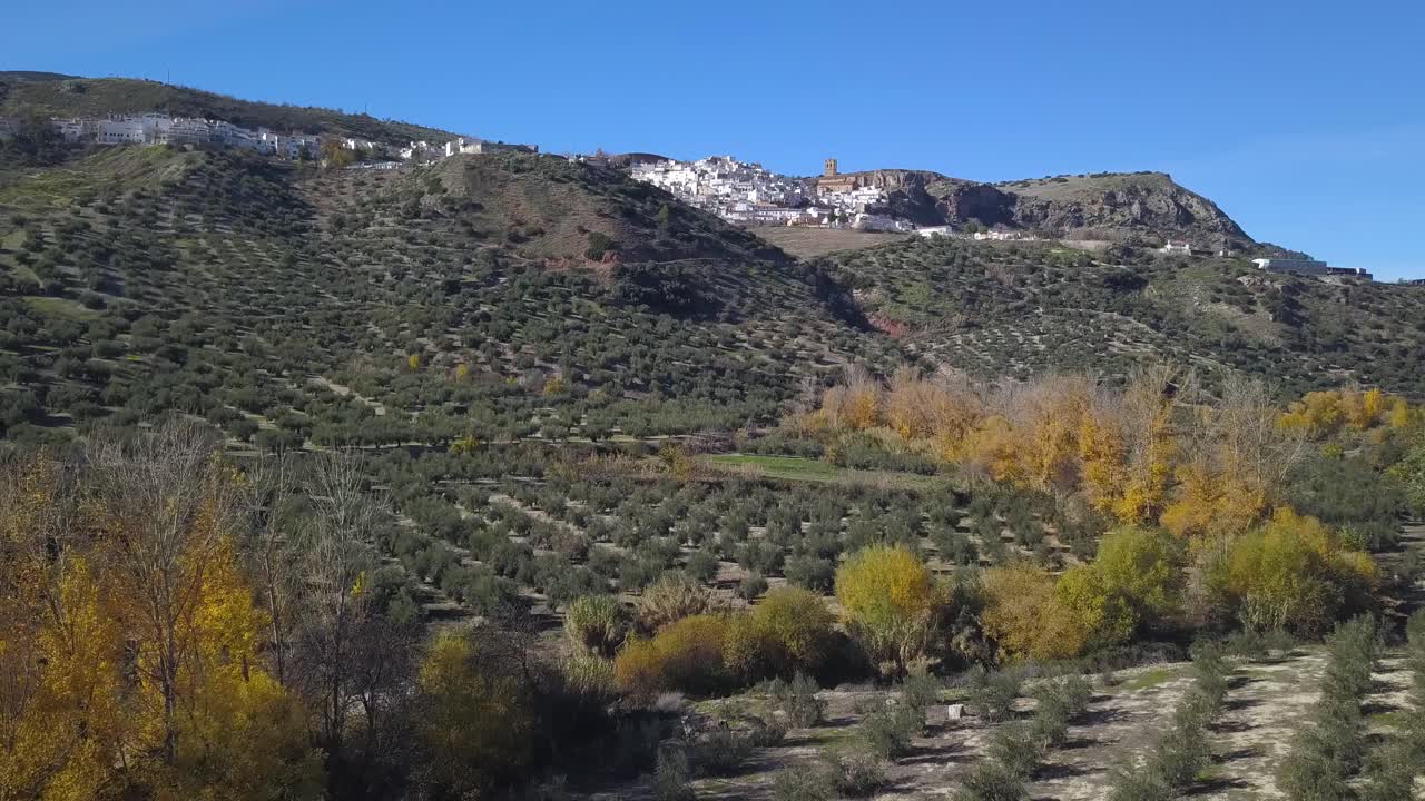 vista aérea de un campo de olivos con un río en otoño y un pequeño pueblo español en el fondo