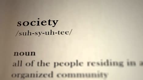 society definition