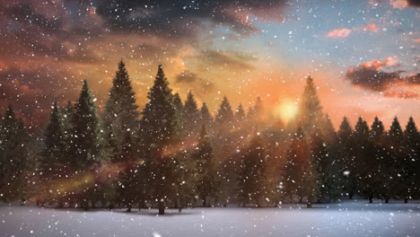 winter scenery with sunset and falling snow