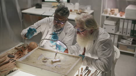 Two Senior Scientists Removing Bones from Sand in Archaeology Laboratory
