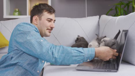 the man is trying to cope with the kittens.