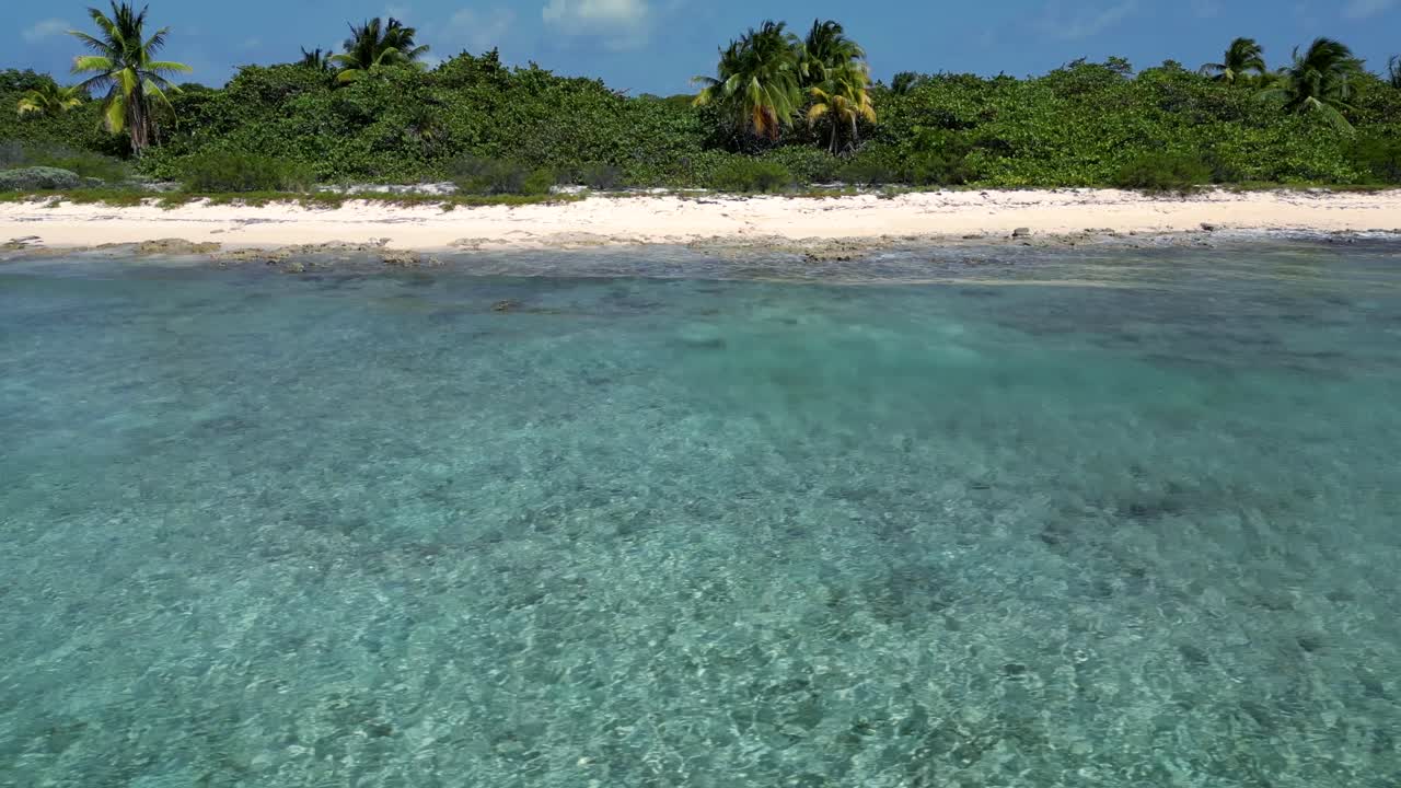 Drone footage rolling left along a tropical beach with palm trees as waves in a turquoise, tropical ocean crash over a coral reef and onto the beach in the Caribbean
