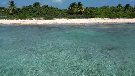 imágenes de drones rodando a lo largo de una playa tropical con palmeras como olas en un océano turquesa y tropical sobre un arrecife de coral y en la playa en el caribe
