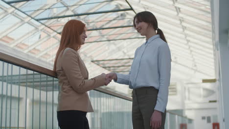 two businesswomen shaking hands