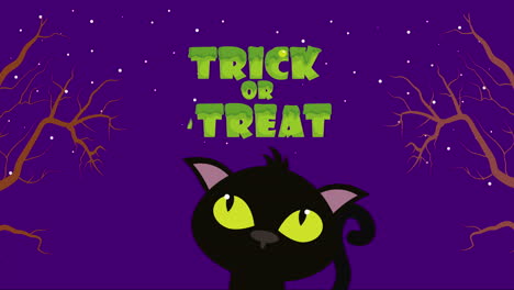 scena oscura di halloween con gatto e rami