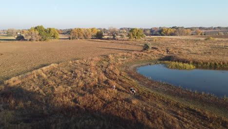 drone footage of farmland in colorado during autumn