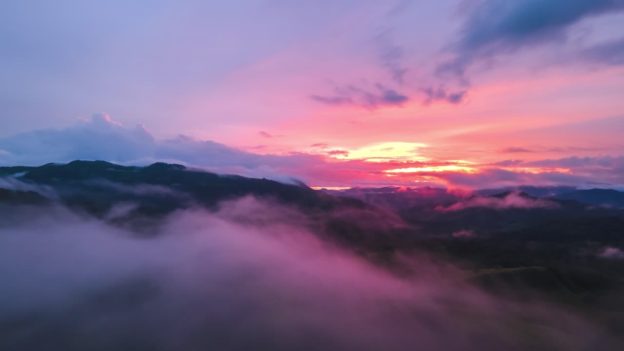 Hyperlapse di una fitta foresta in Costa Rica con cielo arancione