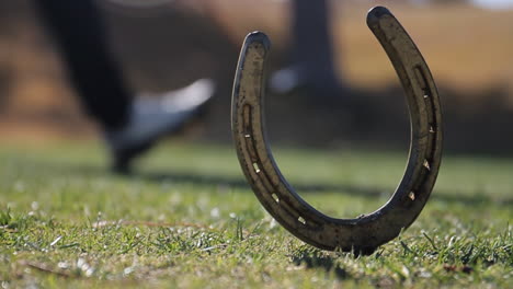 horseshoe lawn game