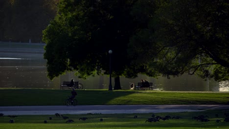 a sunny summer day in the city park, denver - circa august