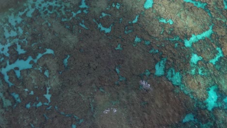 un dron captura una imagen de una laguna azul, mostrando las aguas cristalinas que revelan el impresionante paisaje submarino mientras el sol comienza a brillar e iluminar el agua
