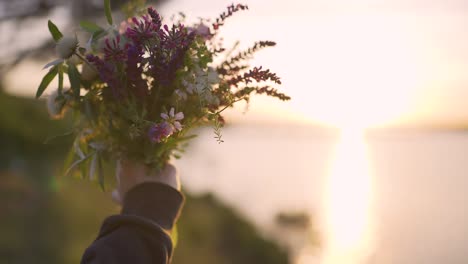 field flowers in woman hand on sunset or sunrise