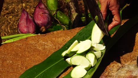local guide cutting fresh wax gourd with machete during jungle trek in vietnam