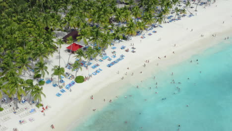 pasando el rato en la playa más hermosa del caribe, saona, república dominicana, órbita aérea