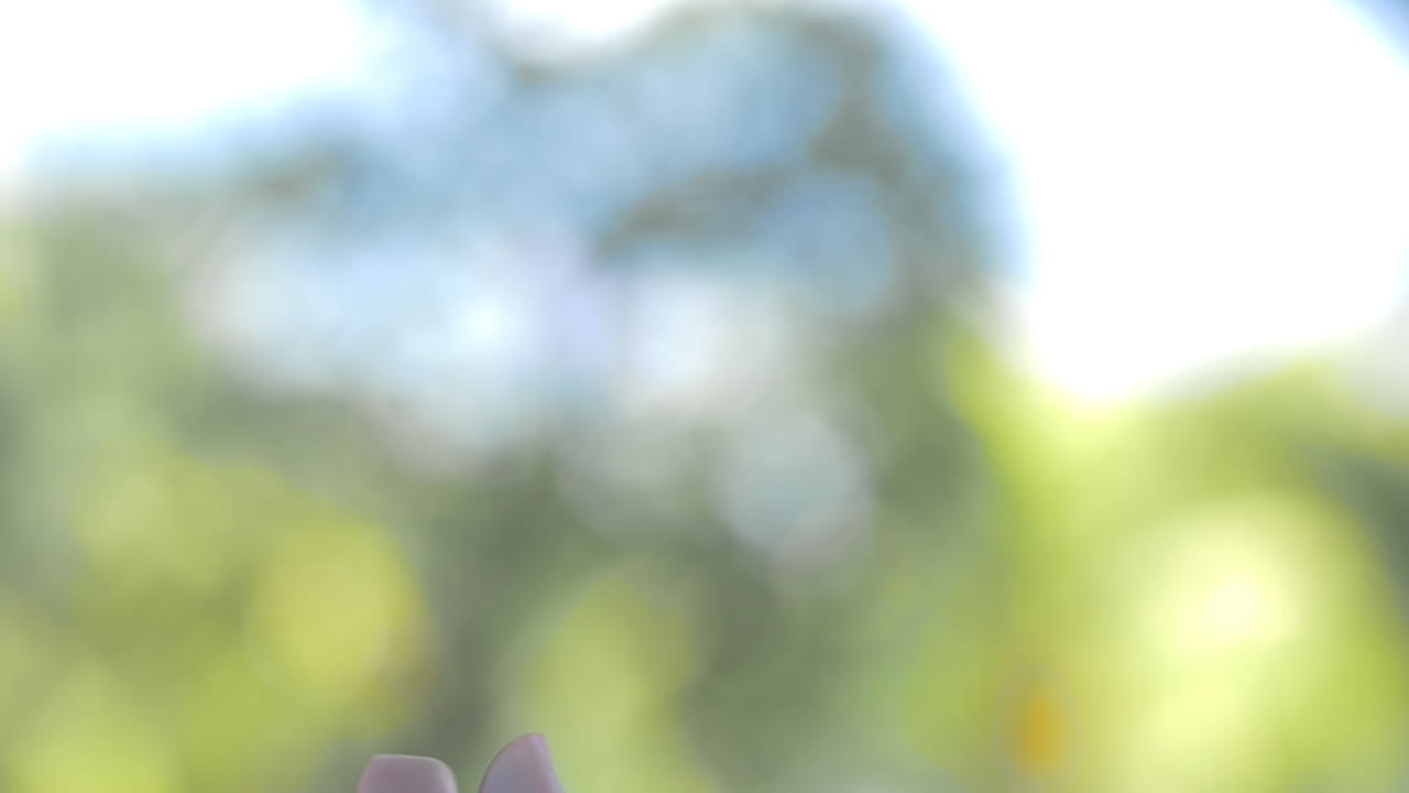 스파 액세서리 및 꽃 잎