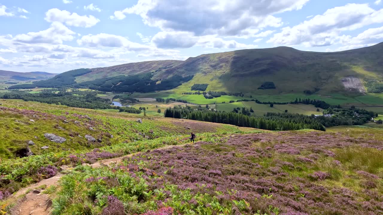 A lone hiker traverses a scenic hillside trail surrounded by heather and lush valleys under bright daylight, with gentle camera panning across the landscape