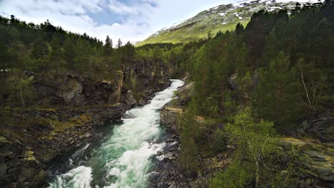 a wild river rushing from the mountains