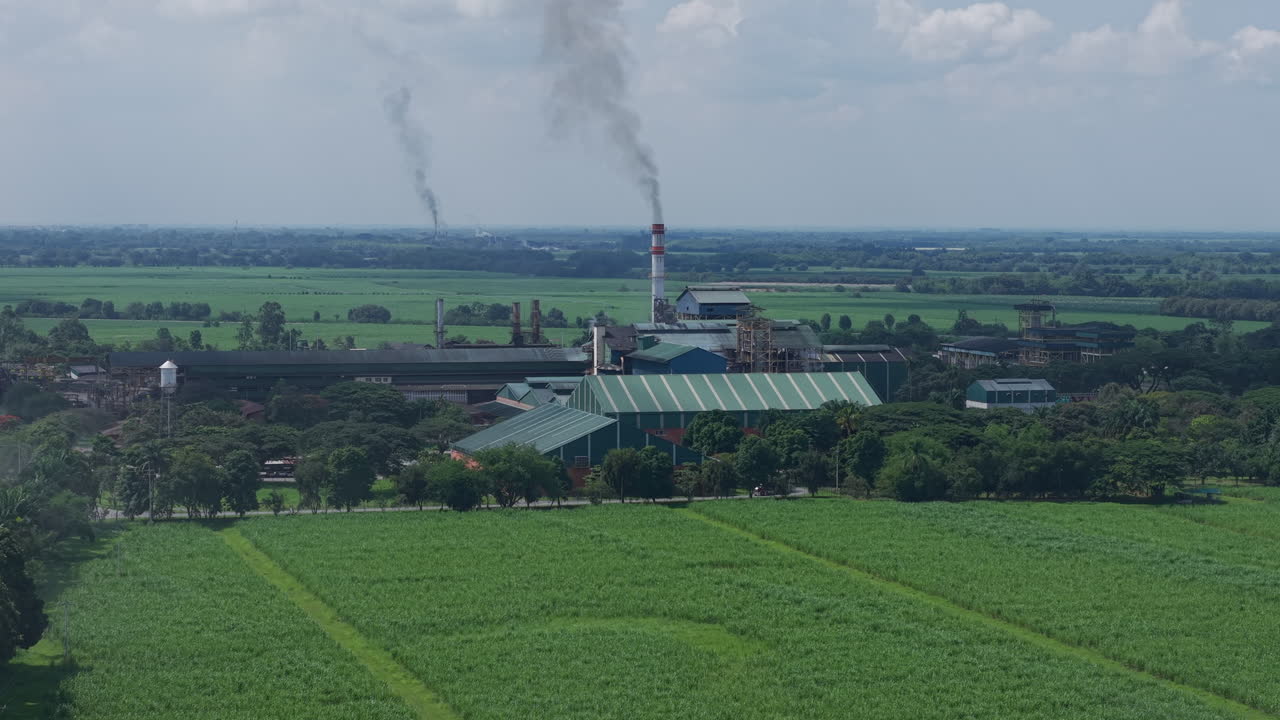 Drone footage of lush sugar cane fields and factory in Colombia, showcasing agriculture and industry under a clear blue sky. Capture the essence of rural Colombian landscapes