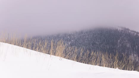 Schneelandschaft-Mit-Nebligen-Waldbergen-Im-Hintergrund