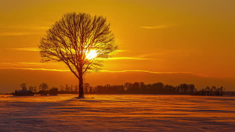 Puesta-De-Sol-Dorada-Vibrante-Detrás-De-La-Silueta-De-Un-árbol-Mientras-El-Viento-Arrastra-Nieve-A-Través-Del-Suelo-Congelado---Lapso-De-Tiempo