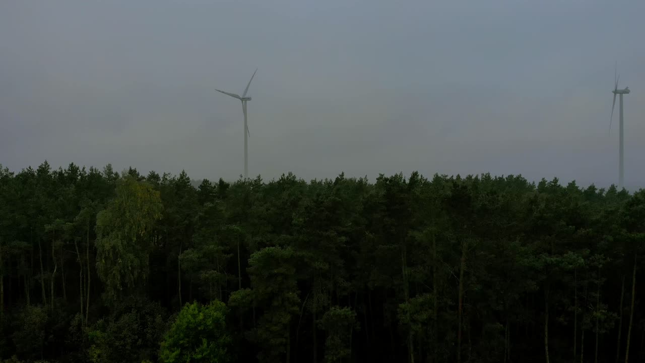 높은 나무 근처의 풍차 근처의 항공 영상, 지평선의 안개가 자욱한 기상 조건, 드론 촬영 비디오 4k
