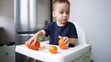 caucasian toddler sitting at high chair plays with oranges. playful baby boy chews the citrus and taps them in hands.