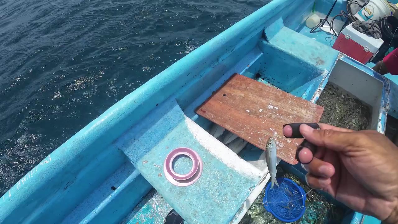 Vista in prima persona di un pescatore esperto che innesca un amo con una piccola sardina, mostrando pratiche di pesca artigianale sostenibile nel mare aperto dei Caraibi.