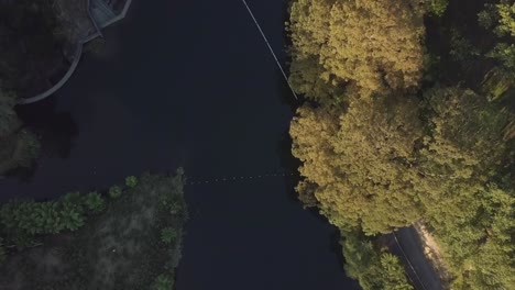 aerial view of a lake surrounded by trees and vegetation