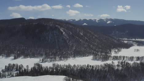 aerial view of pine tree covered snow mountain