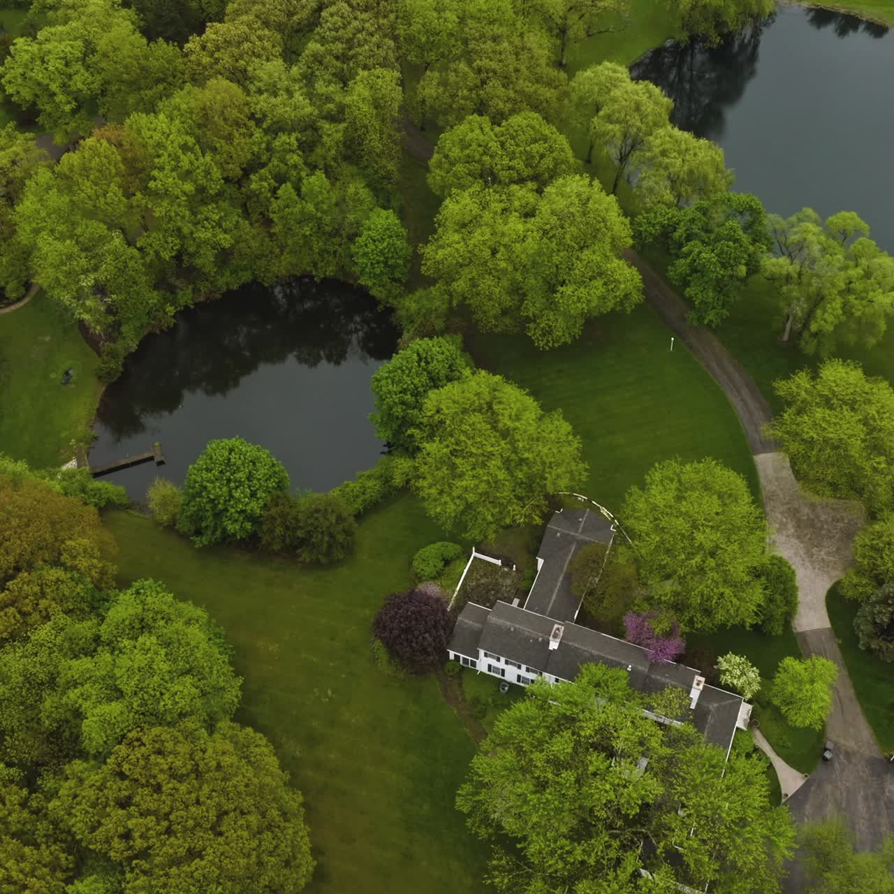 Modern households among green nature. Lovely mansions in the suburb with tiny private ponds beside. Top view