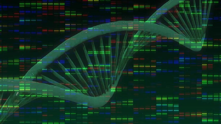 Digitally generated video animates data processing networks for science research.