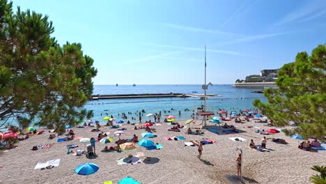 people enjoying a sunny day at the beach