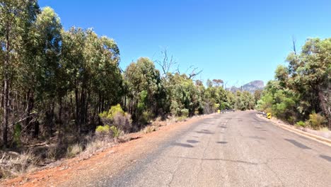 driving through a forested road in australia