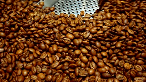 los granos de café en el molinillo. café fresco en la máquina de café profesional. aroma, fondo.