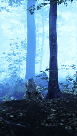 bosque de niebla azul místico