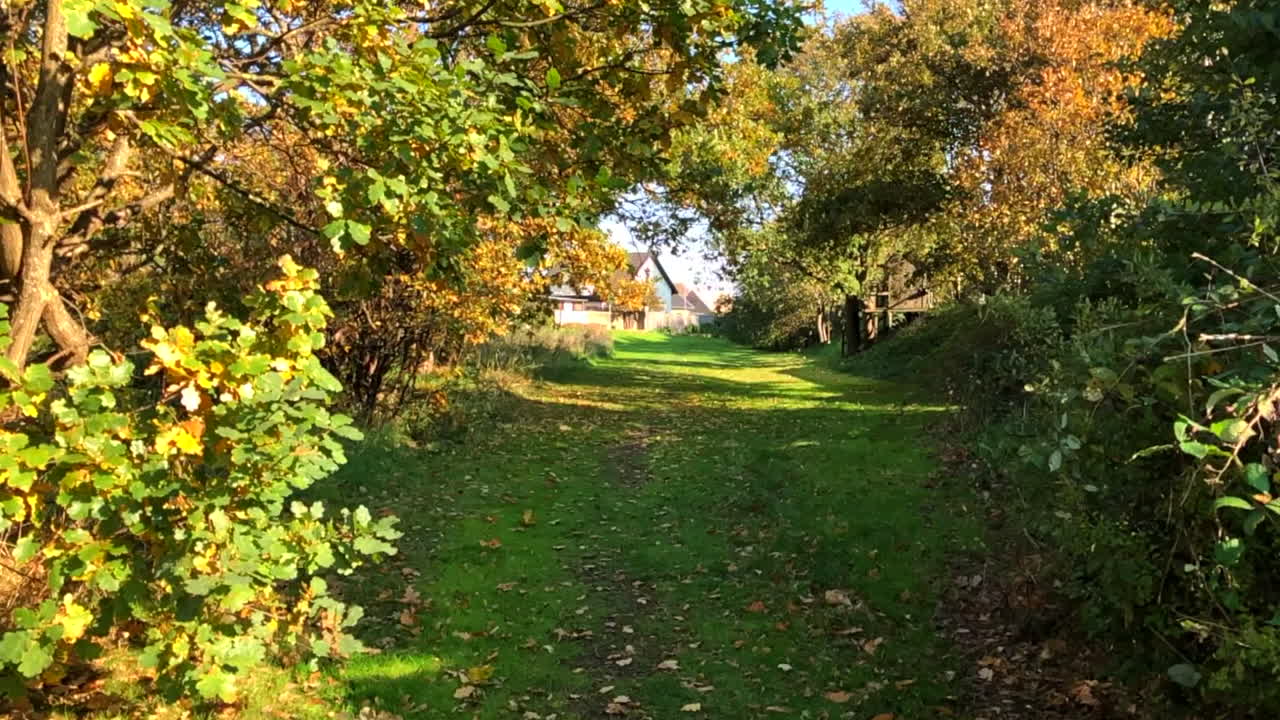 hojas que soplan en el valle verde del otoño
