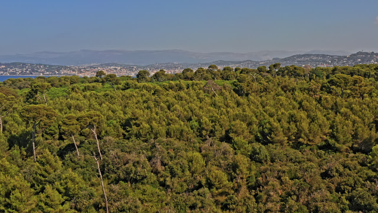 cannes francia antena v24 drone sobrevuelo prístino bosque de eucaliptos en sainte marguerite hacia el mar con vistas a pointe croisette - julio de 2021