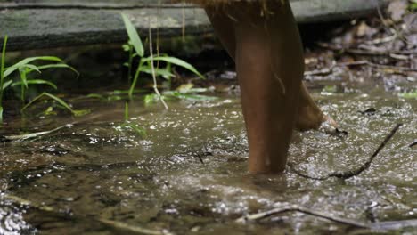 Footsteps-of-native-people-walking-along-a-waterlogged-path-in-the-dense-forest-in-Leticia,-Amazon,-Colombia