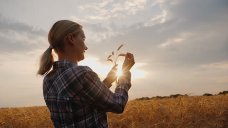 The-Farmer-Looks-At-The-Wheat-Ears-Stands-In-The-Field-At-Sunset