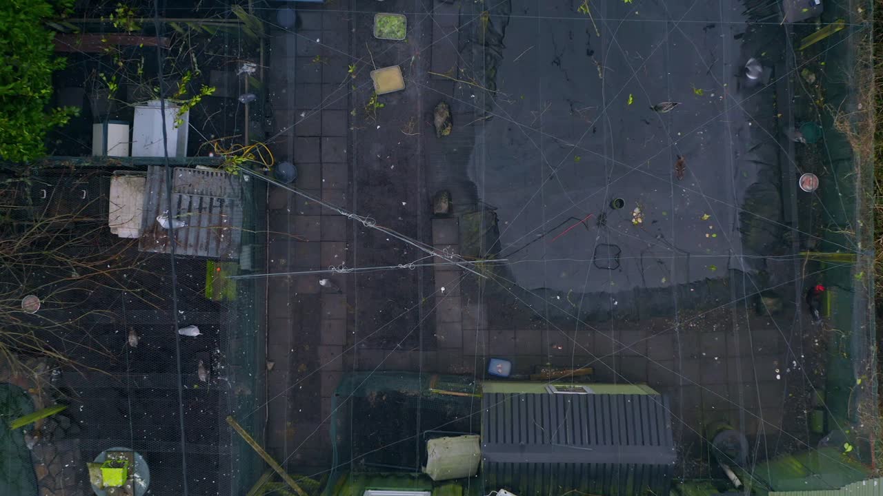 Aerial descending shot over a bird sanctuary, revealing pools and visible birds under a net roof.
