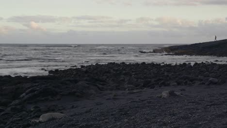 sea turtles resting on a black sand beach with man walking down the coast