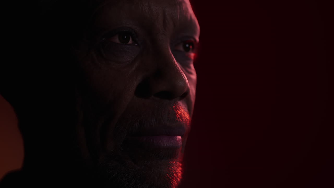 retrato increíblemente detallado de una cara africana